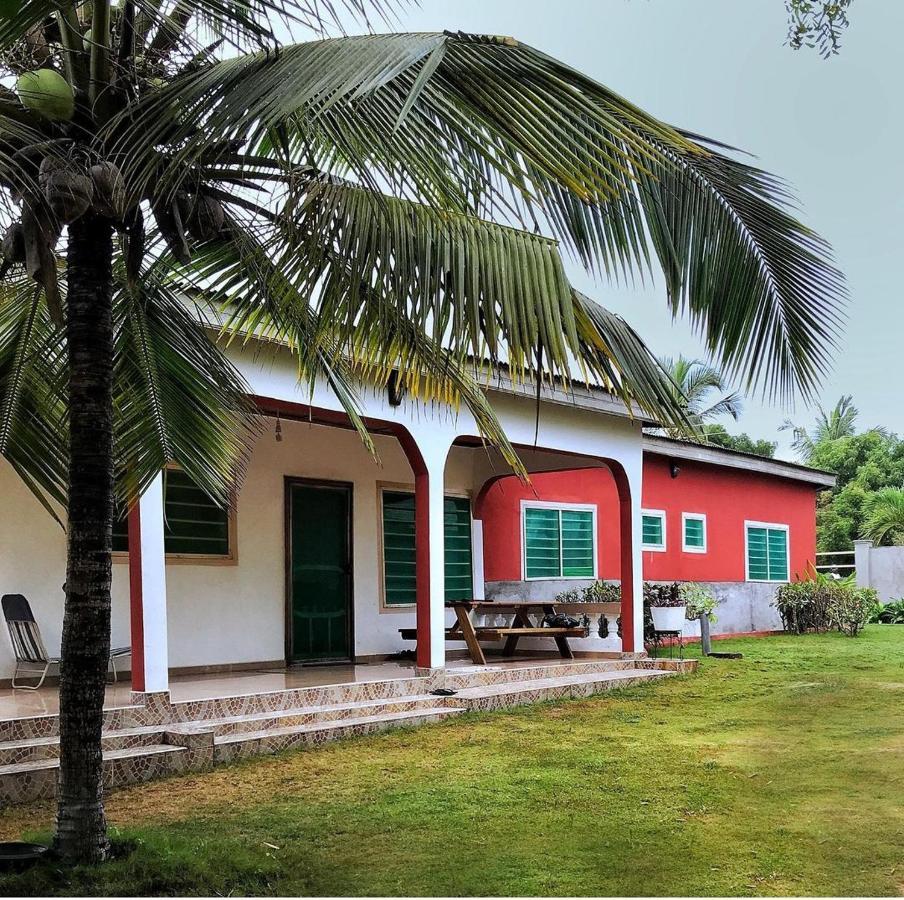 Twitter Paradise Ampeni Exterior foto