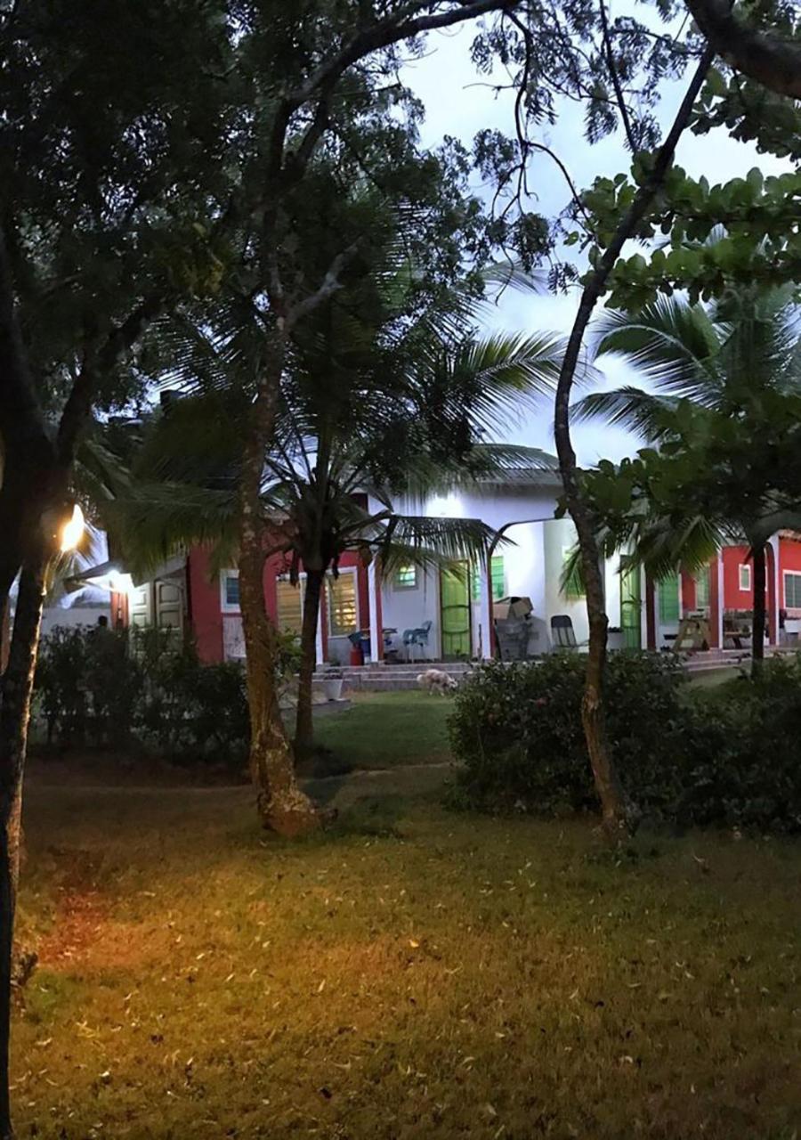 Twitter Paradise Ampeni Exterior foto