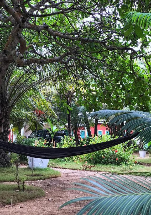 Twitter Paradise Ampeni Exterior foto