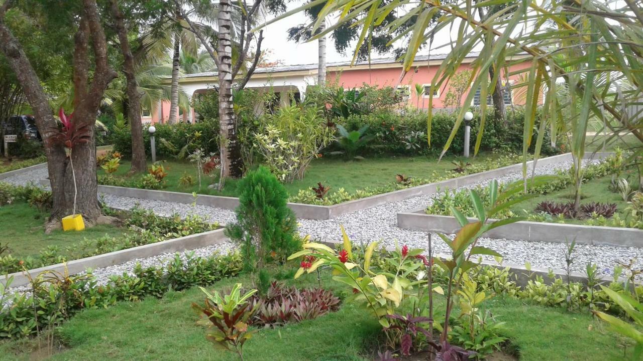 Twitter Paradise Ampeni Exterior foto